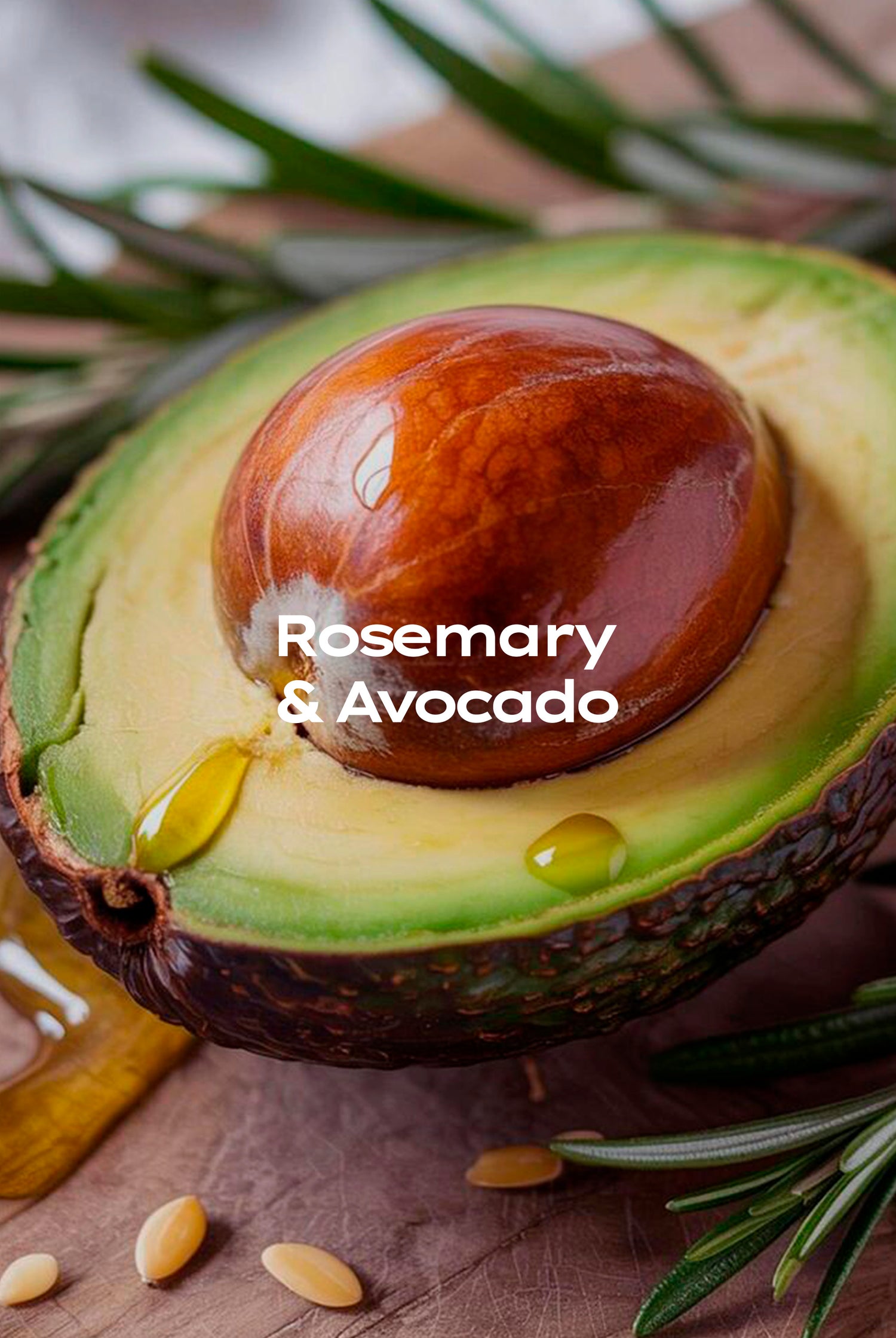 Shampoo Rosemary & Avocado
